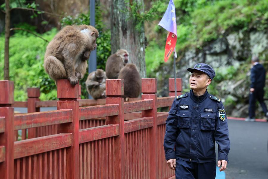 (บันทึกภาพวันที่ 7-8 พ.ค. 2026)