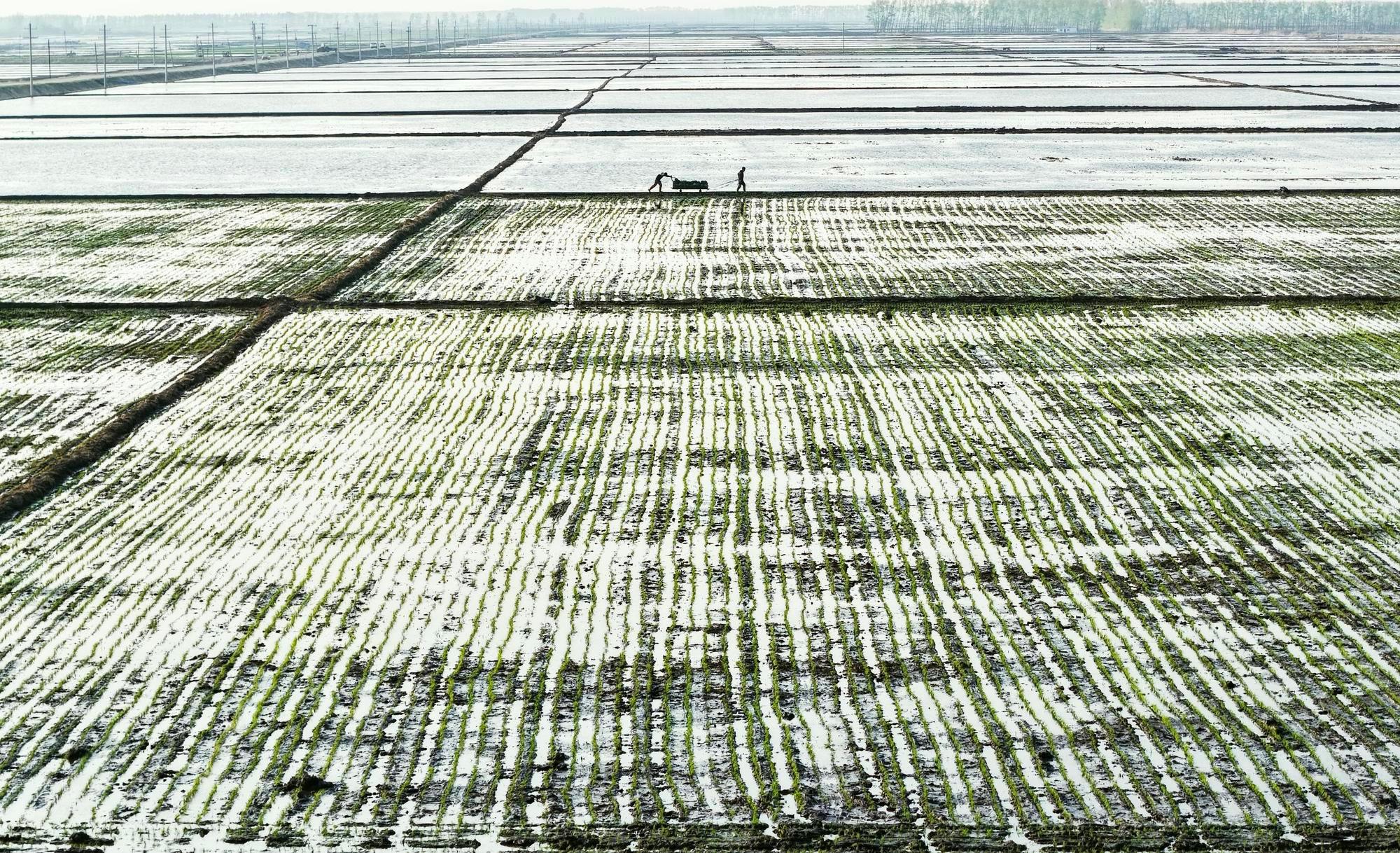 (บันทึกภาพวันที่ 8-12 พ.ค. 2026)
