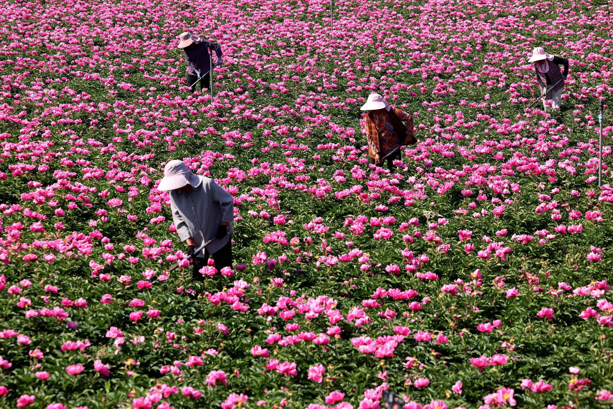 (บันทึกภาพวันที่ 6 พ.ค. 2026)