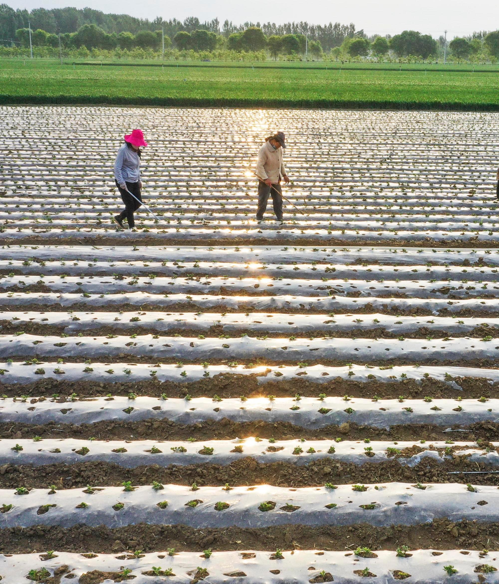 (บันทึกภาพวันที่ 6 พ.ค. 2026)