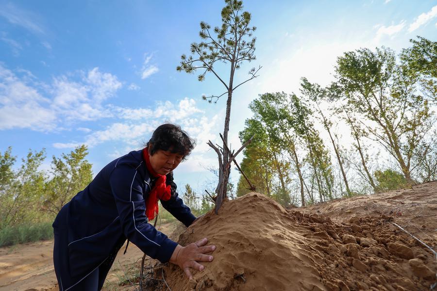 (บันทึกภาพปี 2000 และวันที่ 20 พ.ค. 2026)