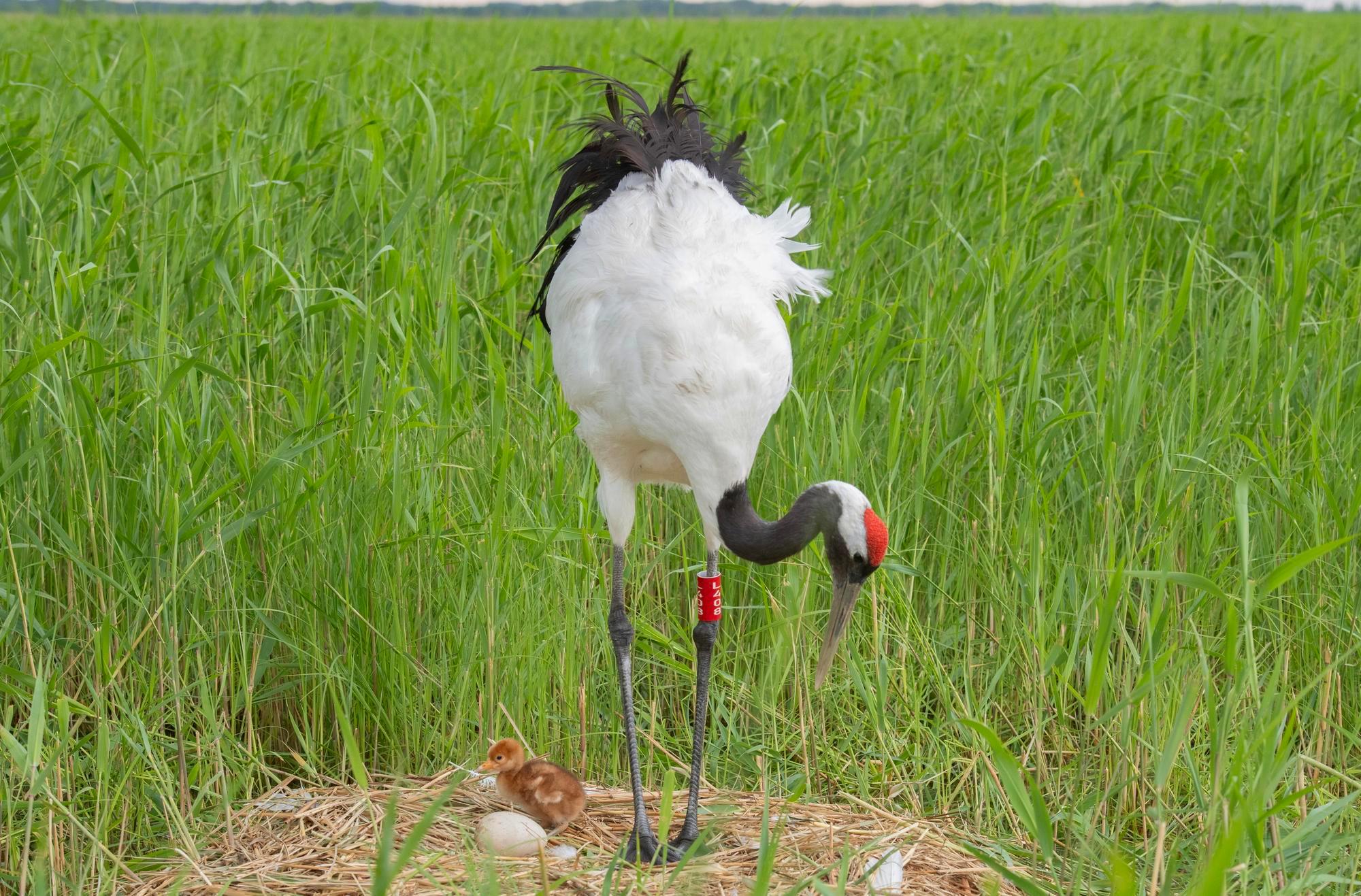 (บันทึกภาพวันที่ 3 มิ.ย. 2026)