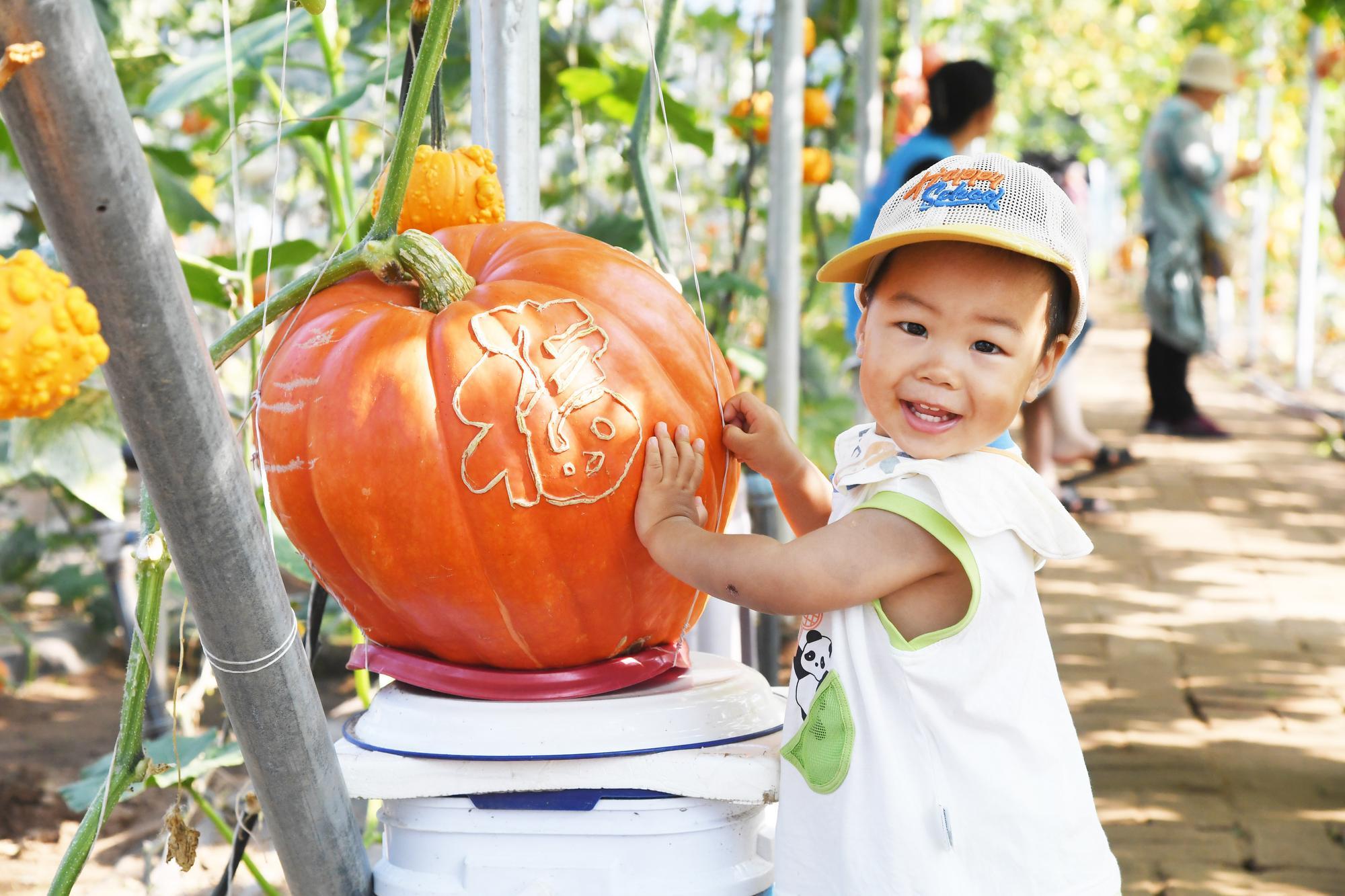 (บันทึกภาพวันที่ 17 มิ.ย. 2026)