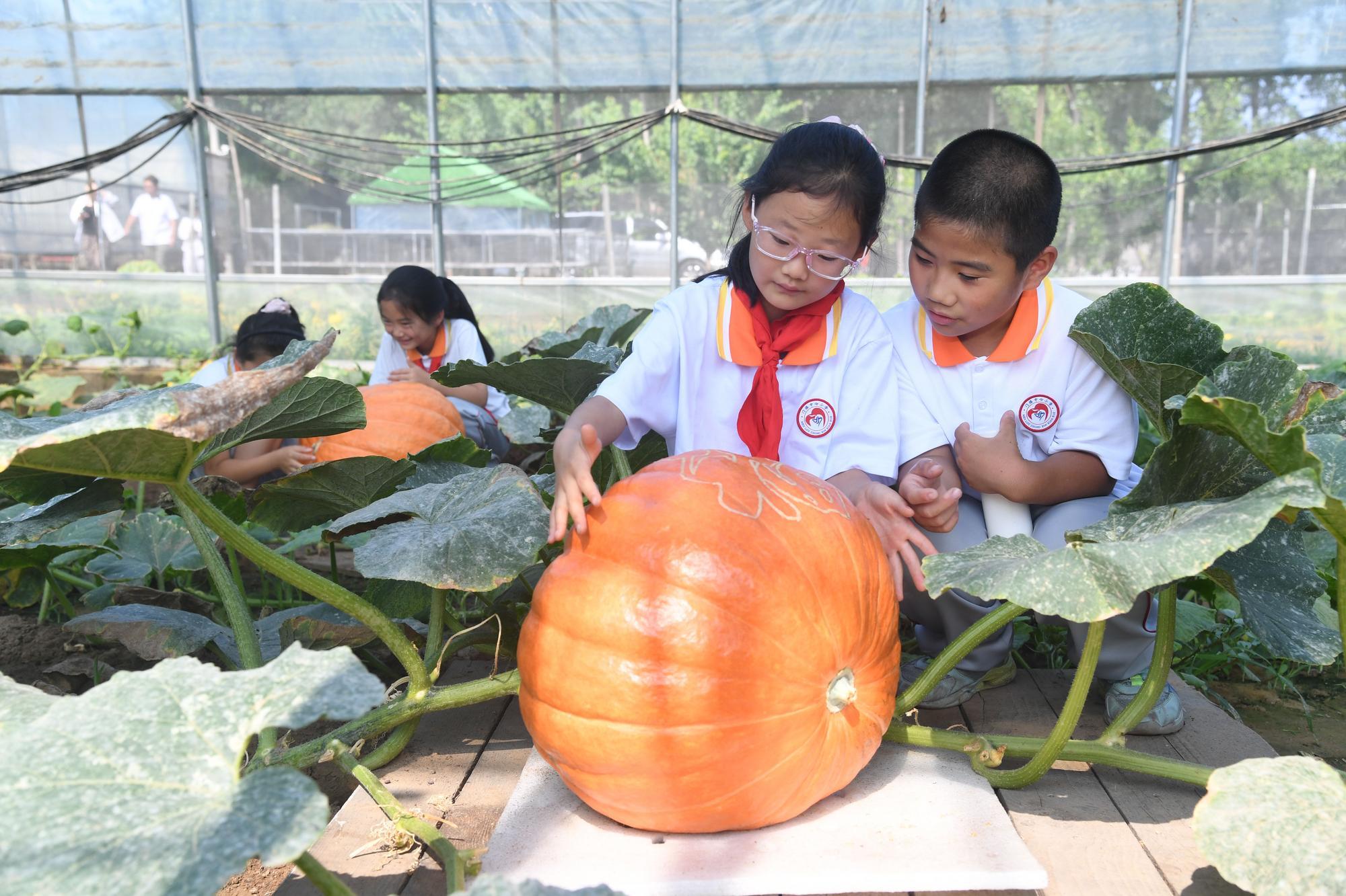 (บันทึกภาพวันที่ 17 มิ.ย. 2026)