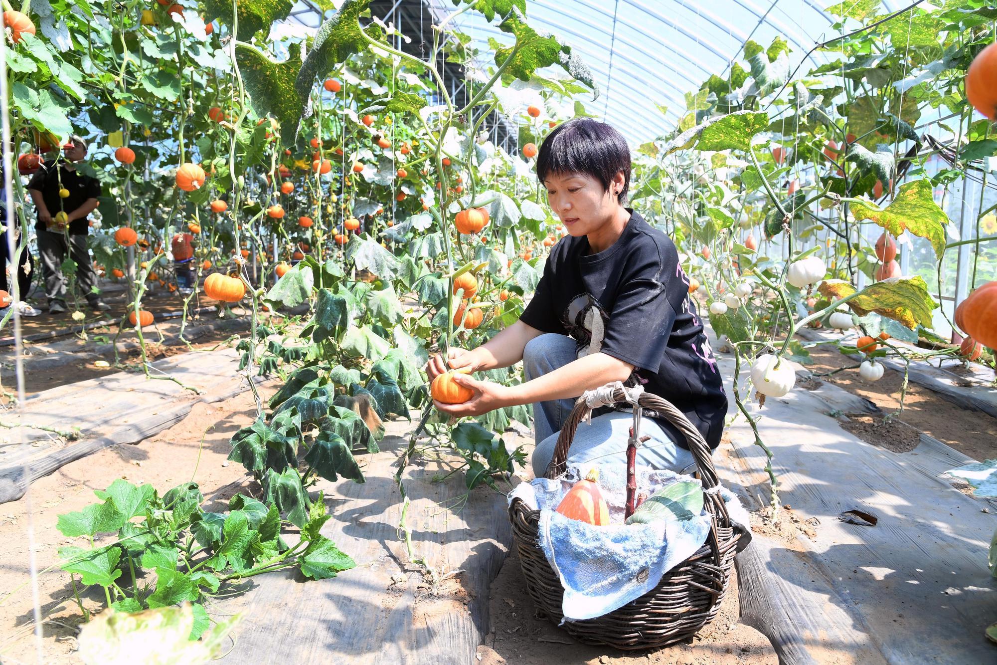 (บันทึกภาพวันที่ 17 มิ.ย. 2026)