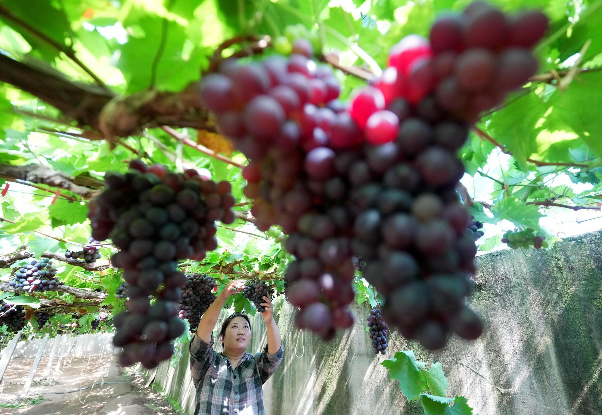 (บันทึกภาพวันที่ 25 มิ.ย. 2026)