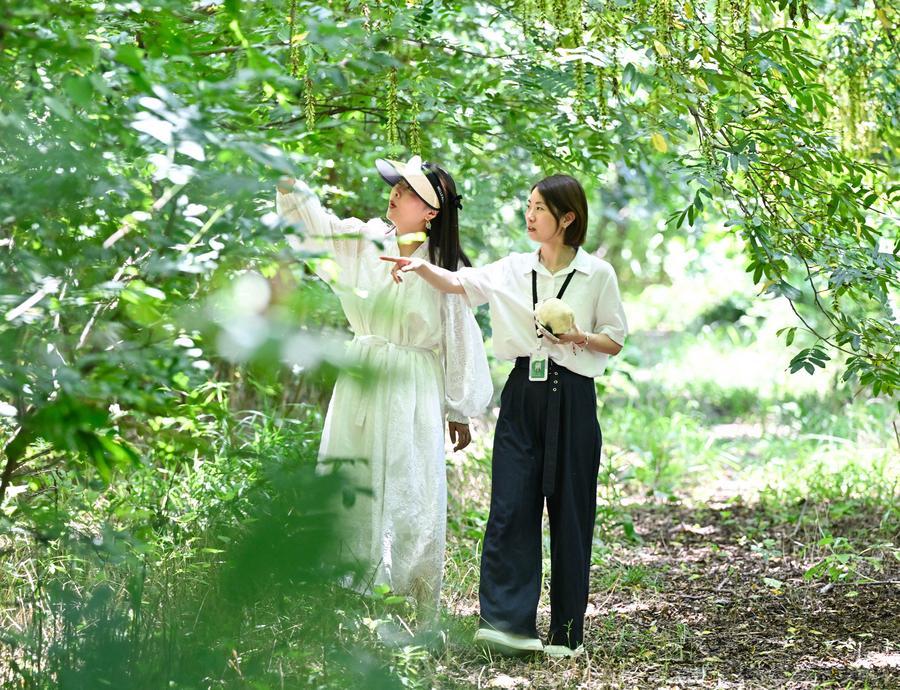 (บันทึกภาพวันที่ 9-16 ก.ค. 2026)
