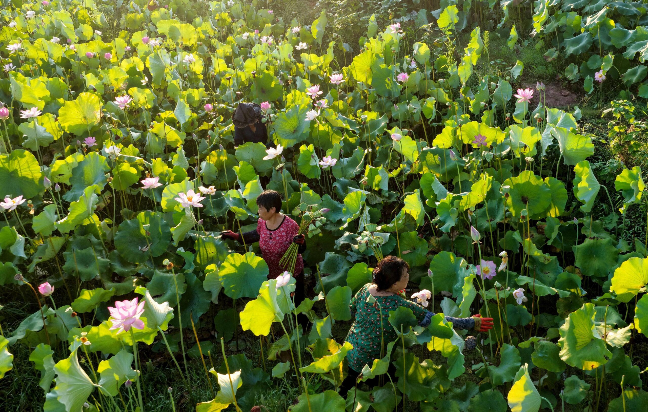 (บันทึกภาพวันที่ 19 ก.ค. 2026)