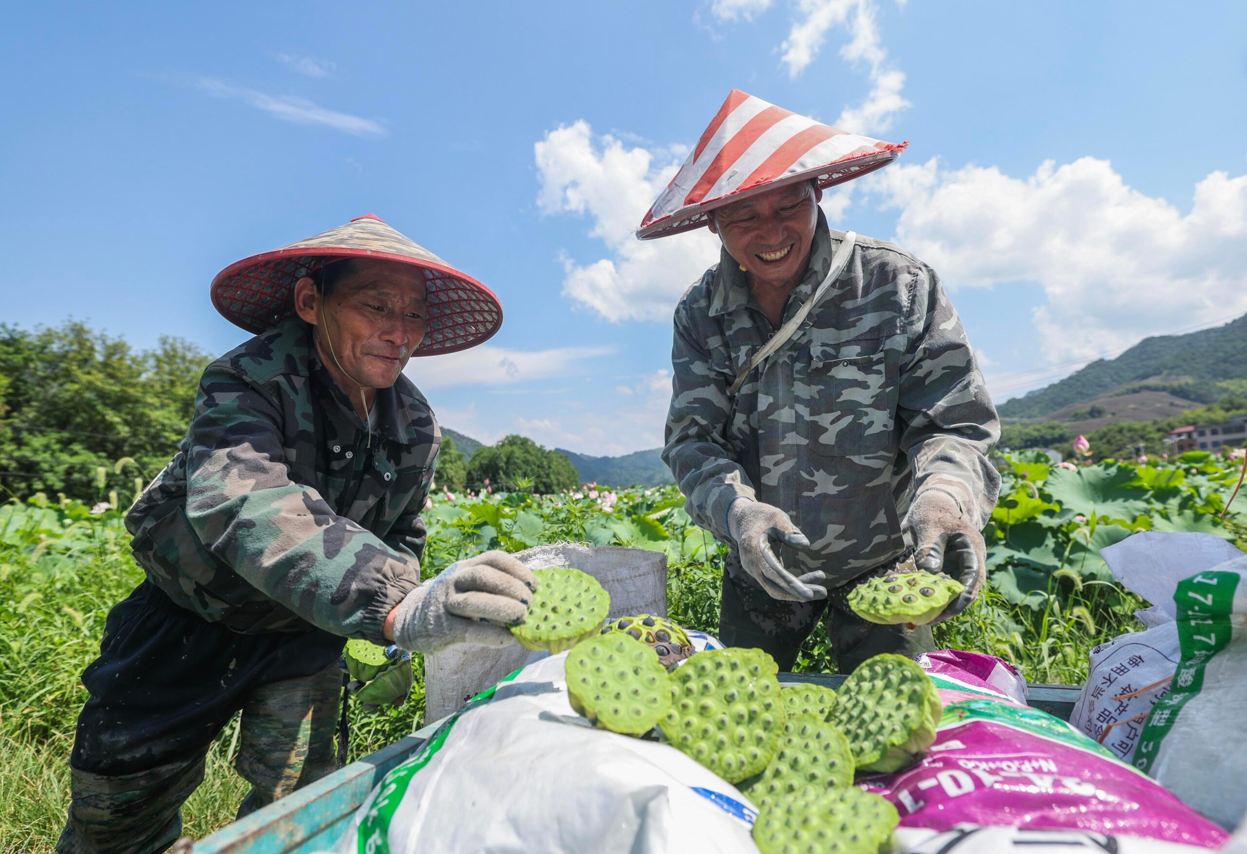 (บันทึกภาพวันที่ 23 ก.ค. 2026)