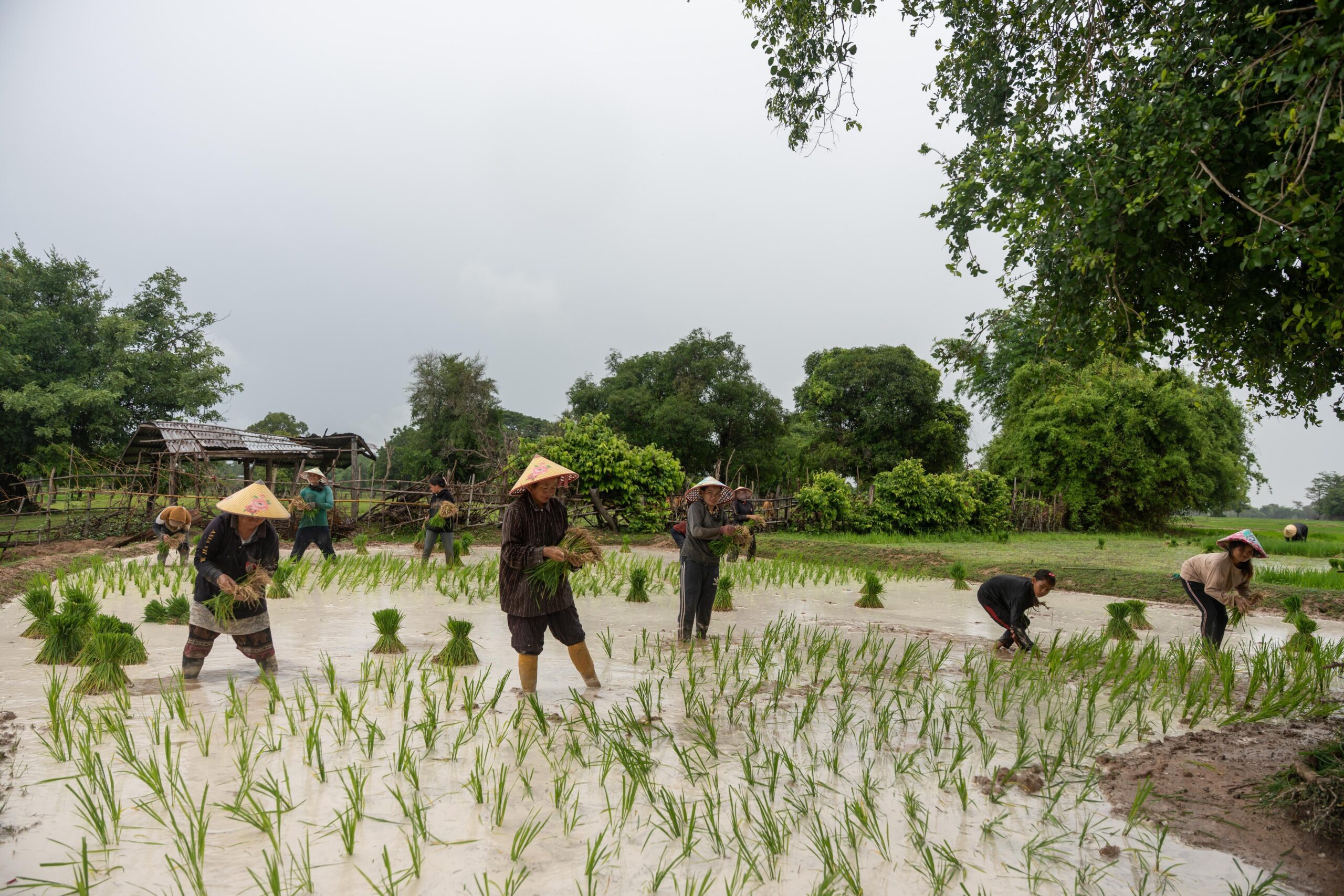(บันทึกภาพวันที่ 4-6 ก.ค. 2026)