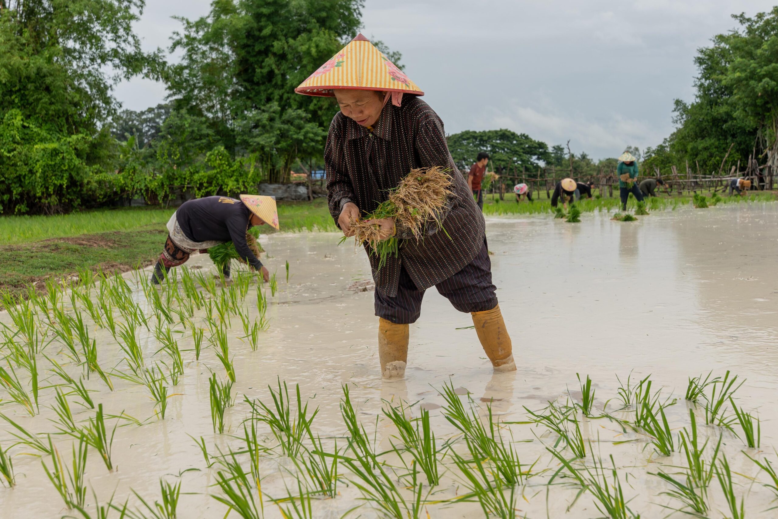 (บันทึกภาพวันที่ 4-6 ก.ค. 2026)