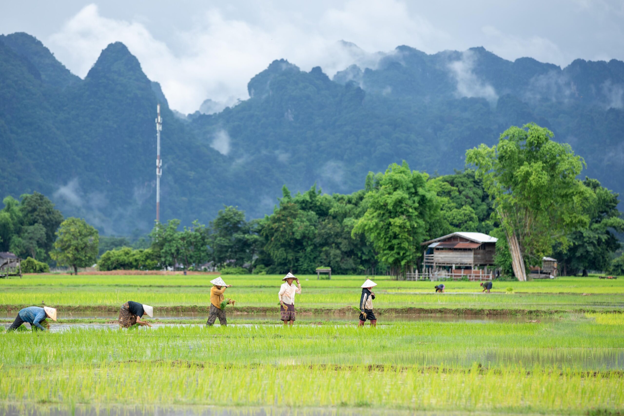 (บันทึกภาพวันที่ 4-6 ก.ค. 2026)