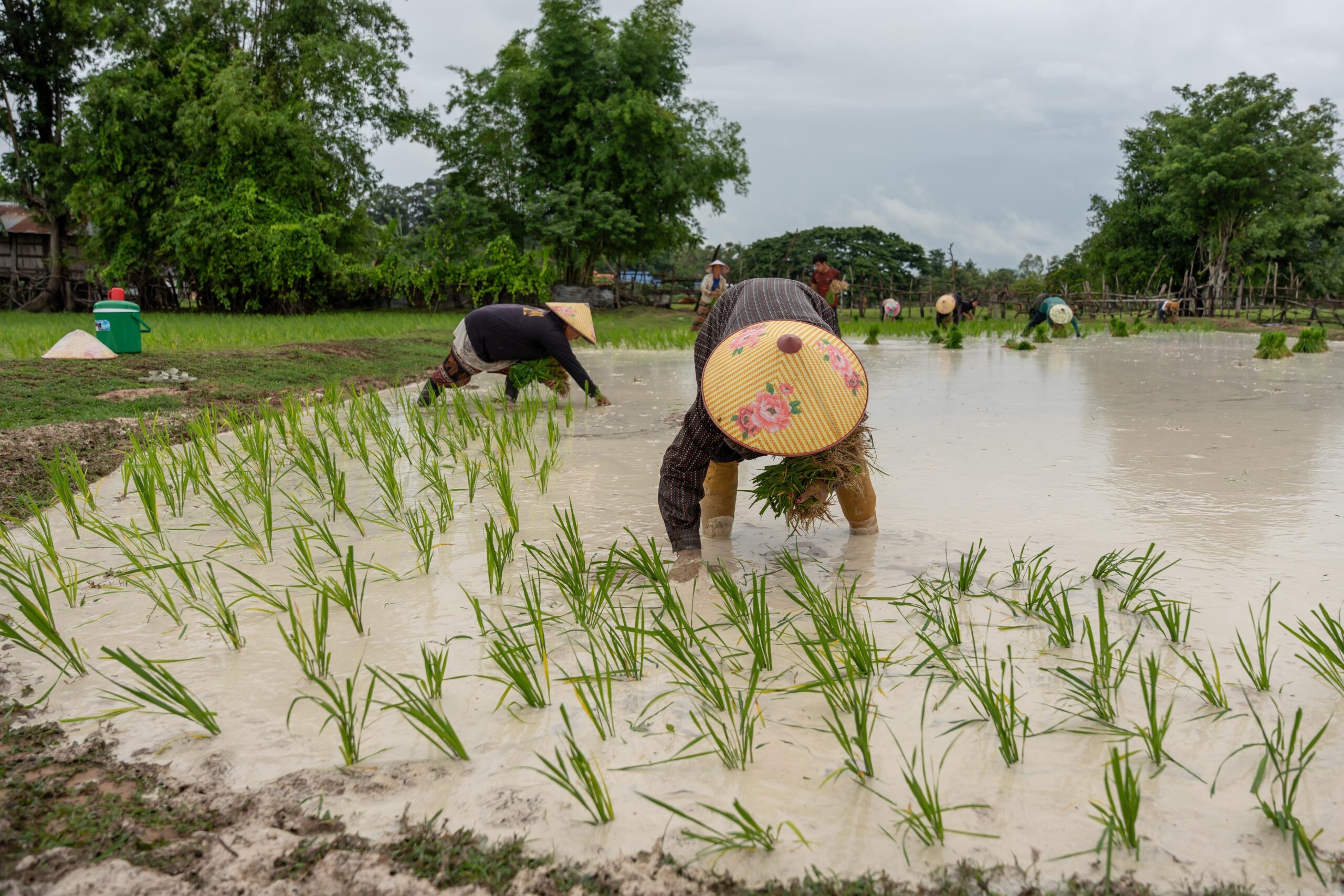 (บันทึกภาพวันที่ 4-6 ก.ค. 2026)