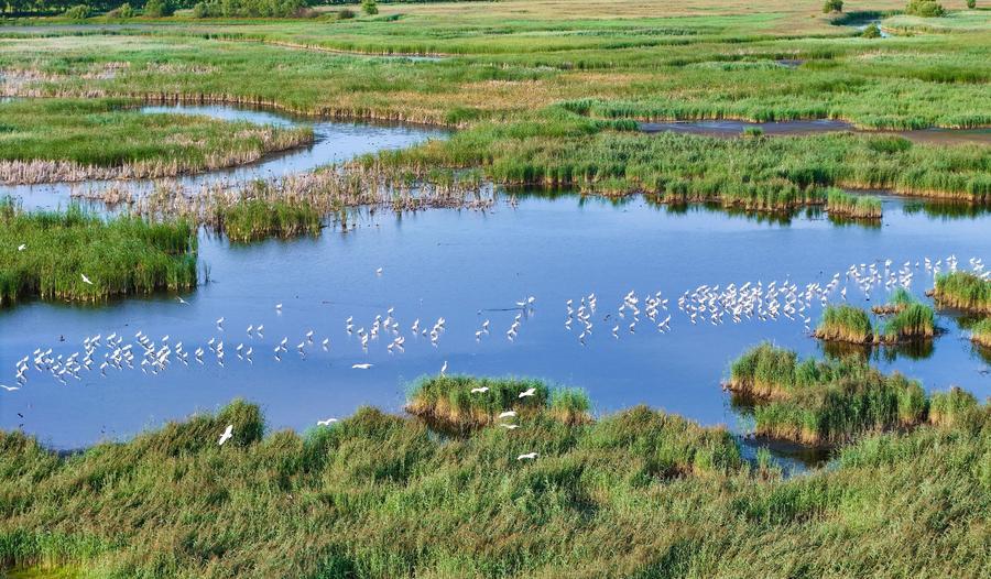 (บันทึกภาพวันที่ 2-14 ส.ค. 2026)