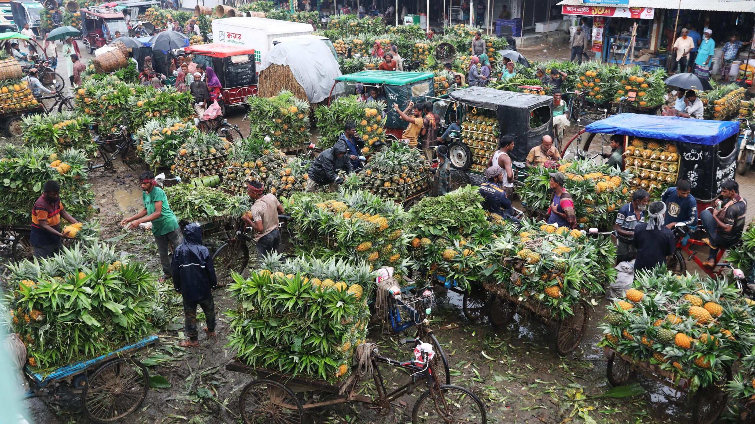 (บันทึกภาพวันที่ 4 ส.ค. 2026)