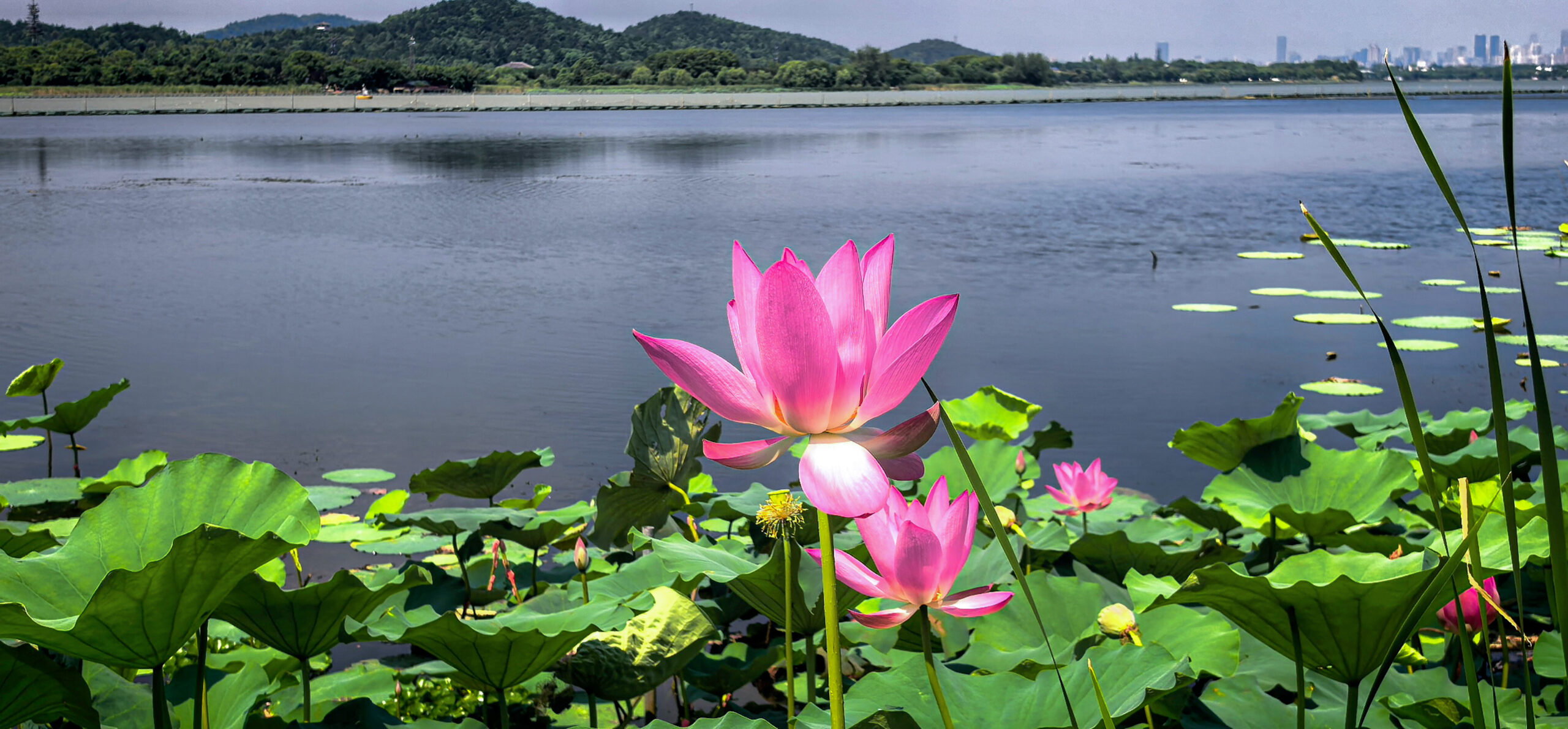 (บันทึกภาพวันที่ 8 ส.ค. 2026)