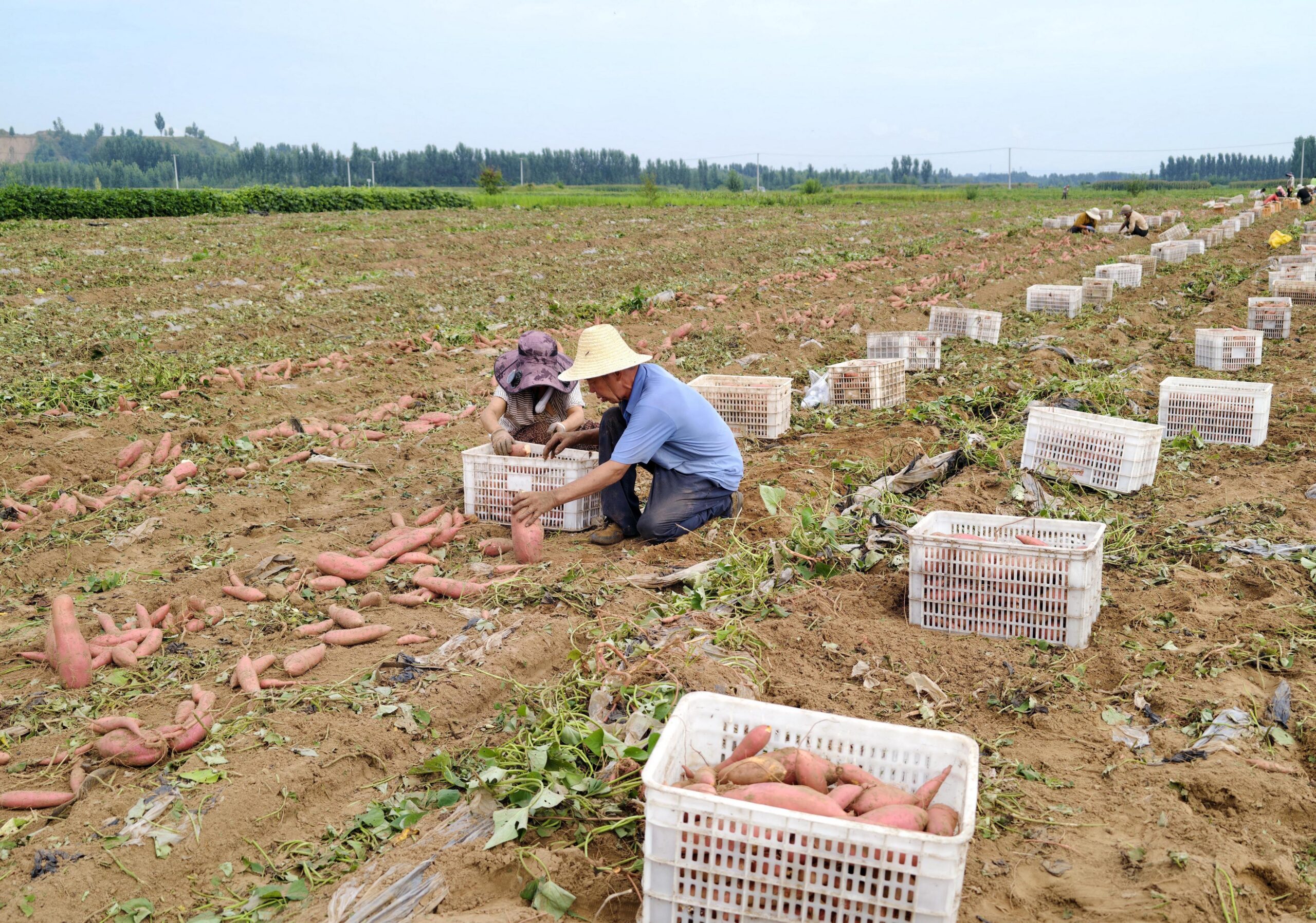 (บันทึกภาพวันที่ 18 ส.ค. 2026)