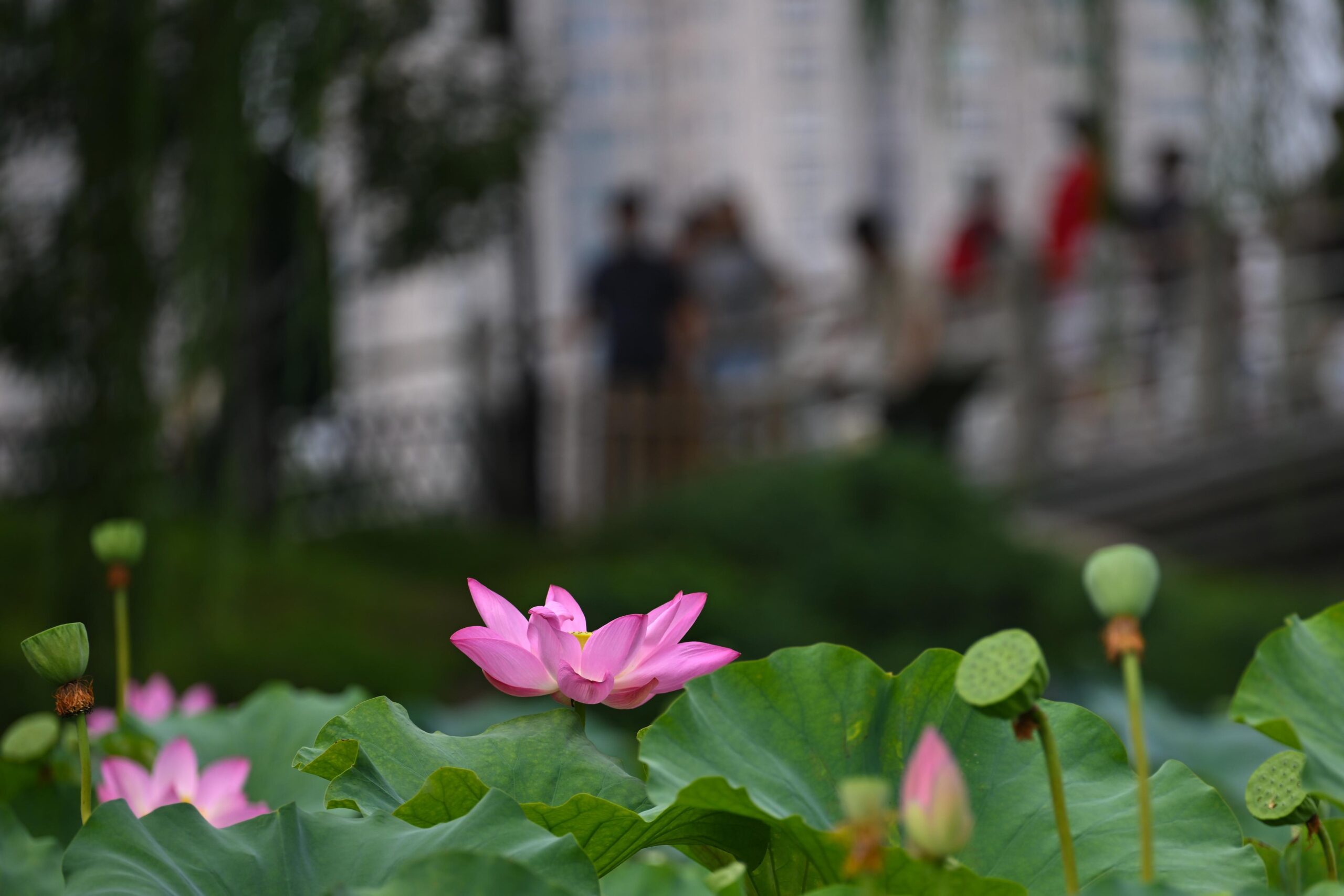 (บันทึกภาพวันที่ 23 ส.ค. 2026)