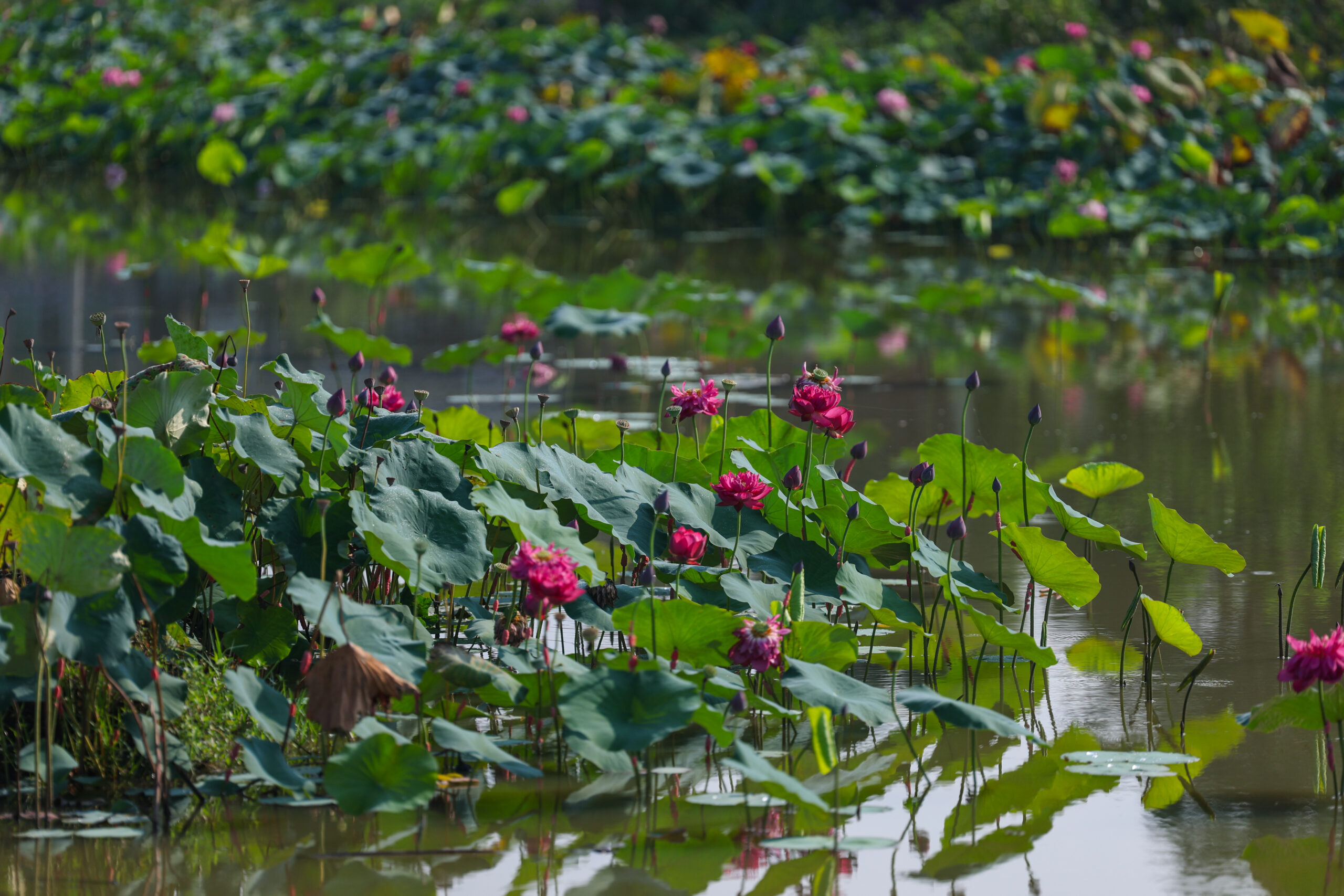(บันทึกภาพวันที่ 11 ส.ค. 2026)