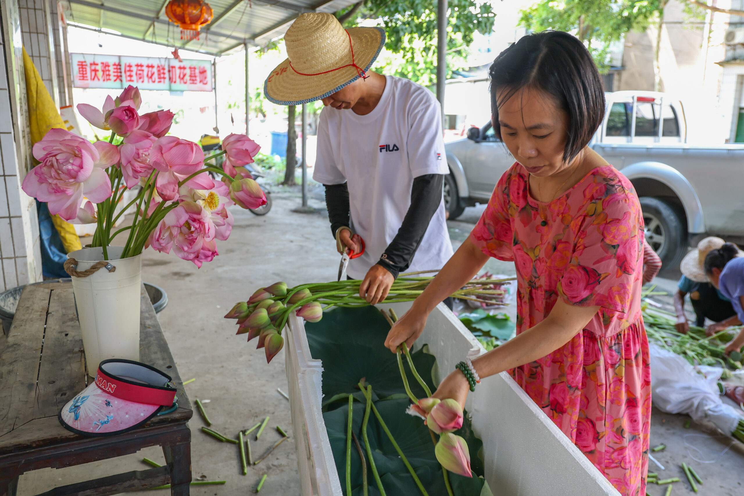 (บันทึกภาพวันที่ 11 ส.ค. 2026)