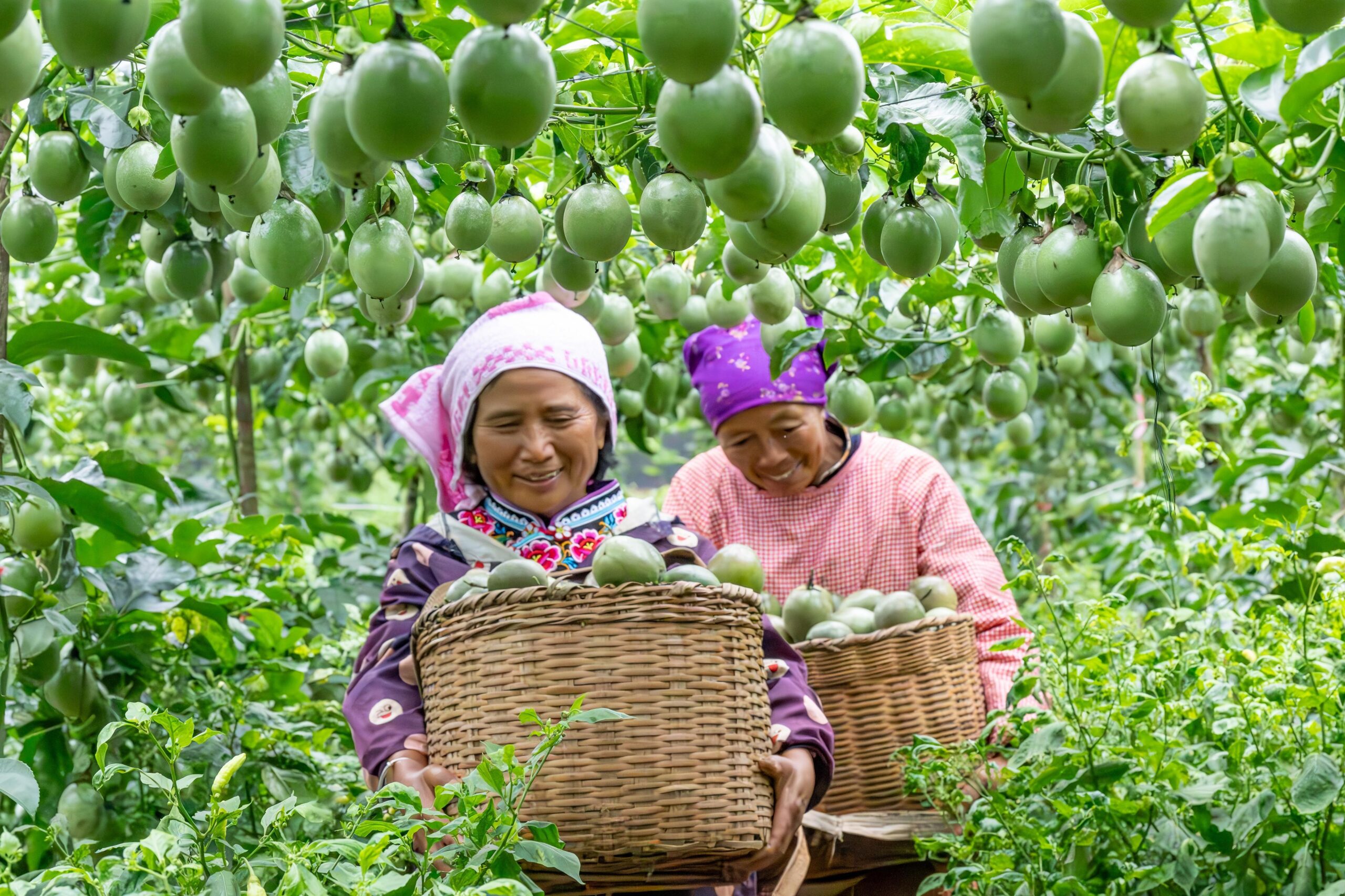 (บันทึกภาพวันที่ 7-9 ส.ค. 2026)
