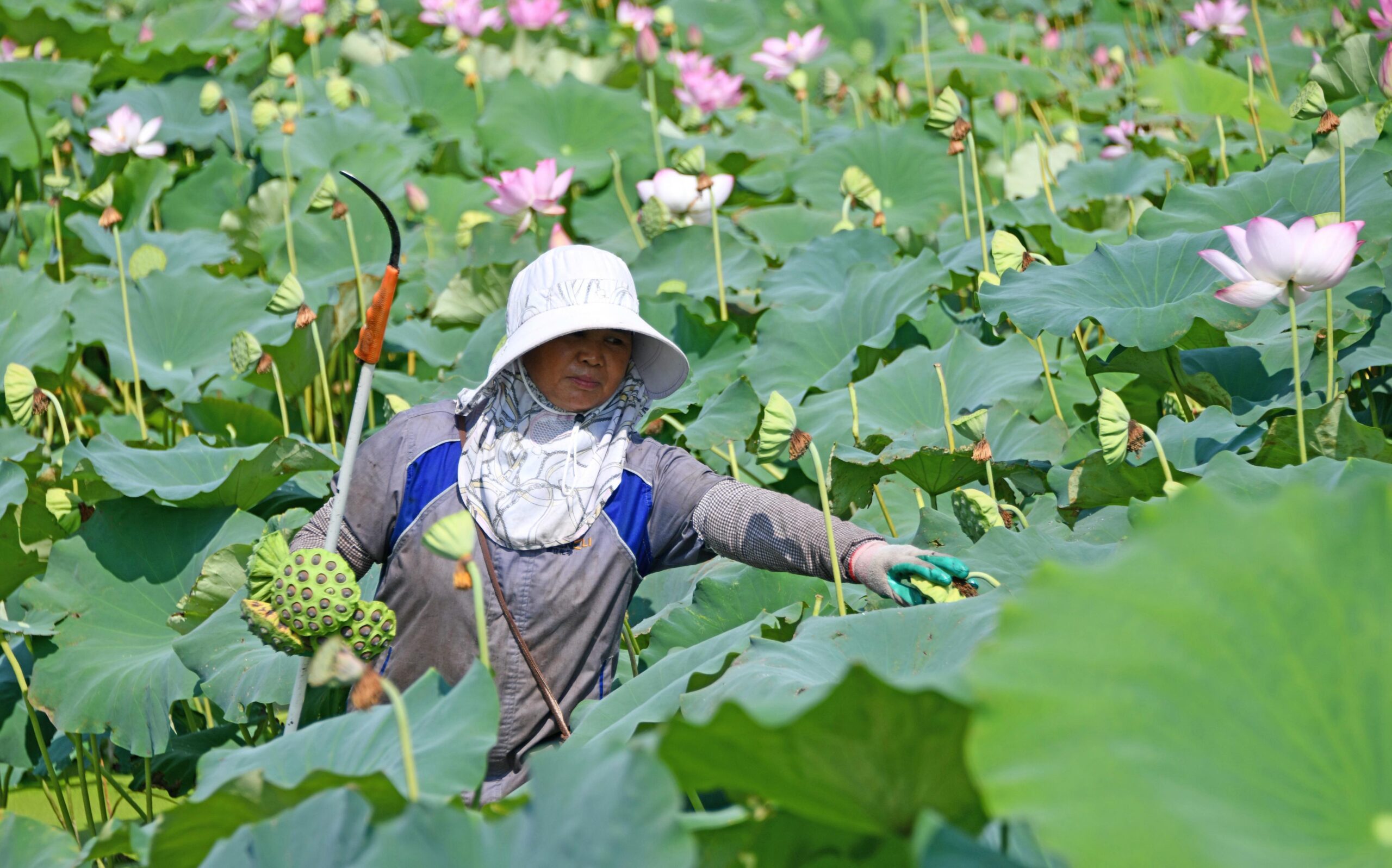 (บันทึกภาพวันที่ 7-9 ส.ค. 2026)