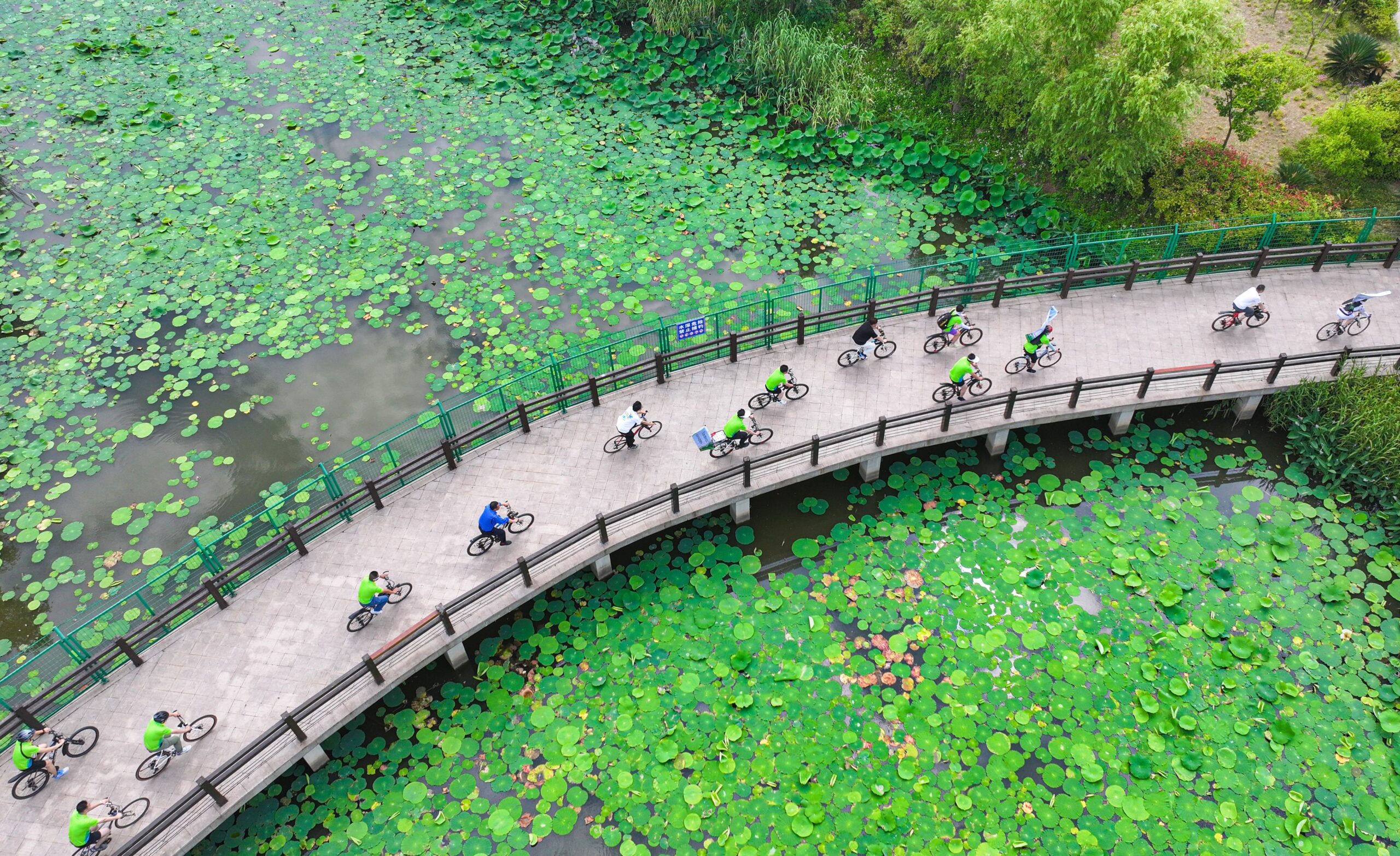 หนานทงพัฒนาพื้นที่ริมแม่น้ำแยงซี สร้างพื้นที่สีเขียวสำหรับประชาชน